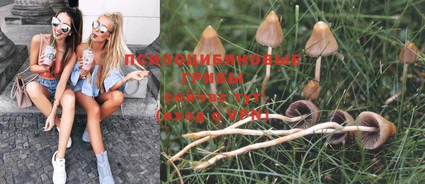 прущие грибы Алексеевка