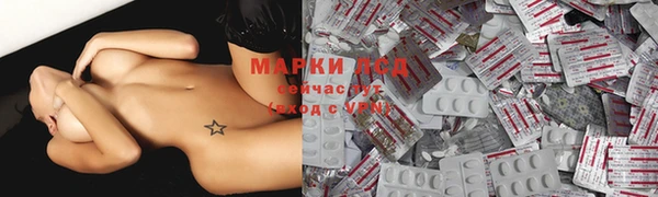 прущие грибы Алексеевка