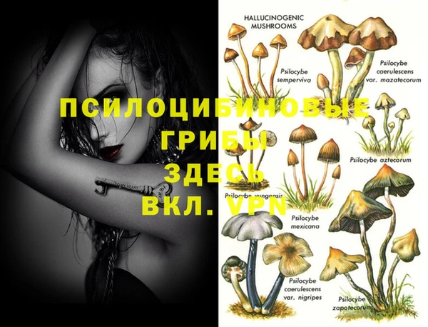 MESCALINE Алексин