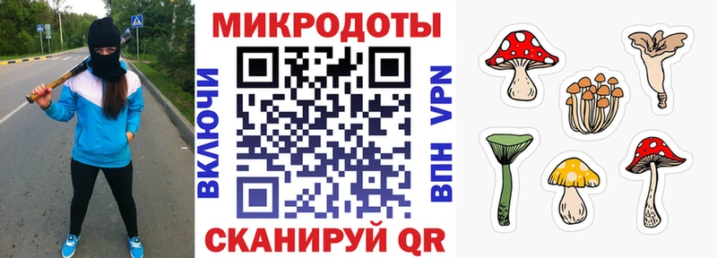 даркнет сайт Динская гидра ССЫЛКА Псилоцибиновые грибы GOLDEN TEACHER